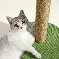 Cactus Cat Scratching Post