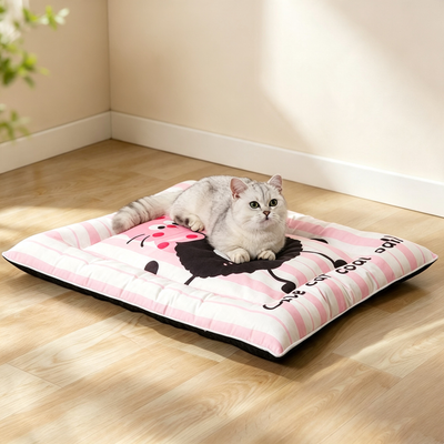 Cute Cartoon Pet Cooling Mat